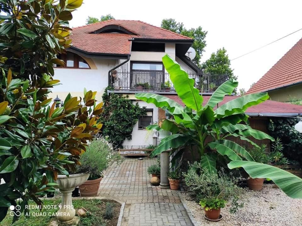 Lavendel Apartman Harkan Exterior foto